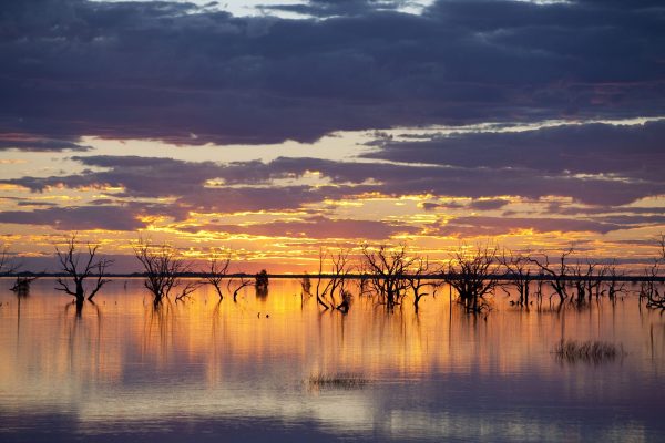 Sunset Strip, Lake Menindee